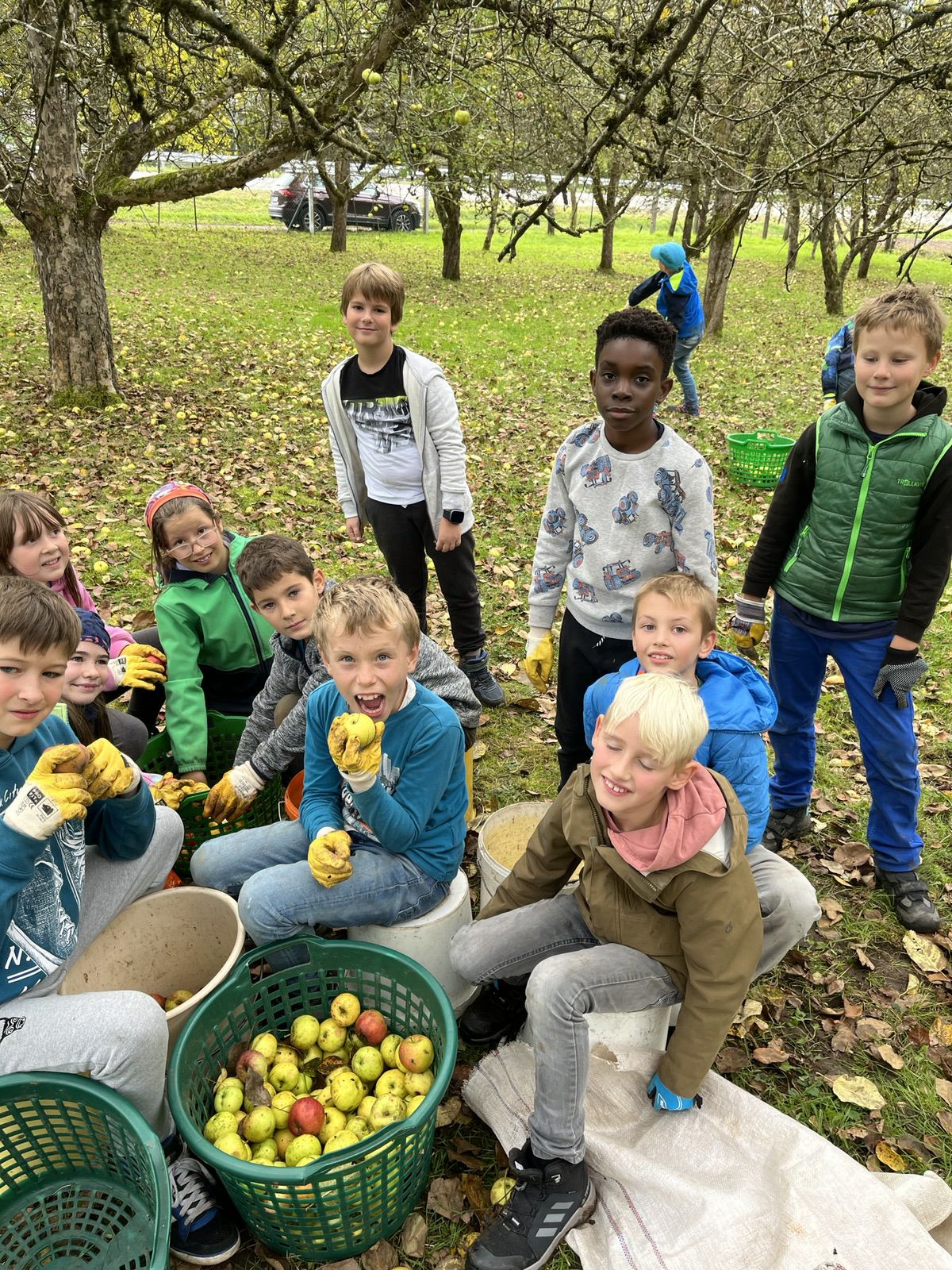  Gemeinsam sammelten die Drittklässlerinnen und Drittklässler 1.500 Kilogramm Äpfel. 