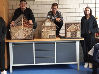 NWT-Projekt der LG 7 und 8: Willkommen im Insektenhotel!