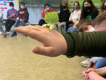 Biologie hautnah: Tierische Besucher im Unterricht der LG 6