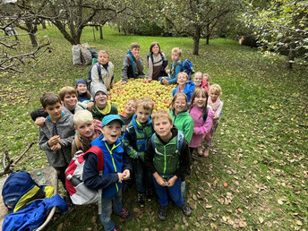 Fleißige Drittklässler ernten 1,5 Tonnen Äpfel in Lorch